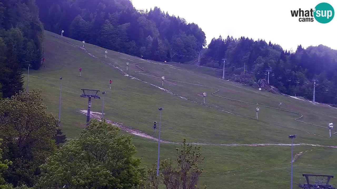 Webcam Kranjska Gora SKI resort | Bech, Kekec, Mojca ski