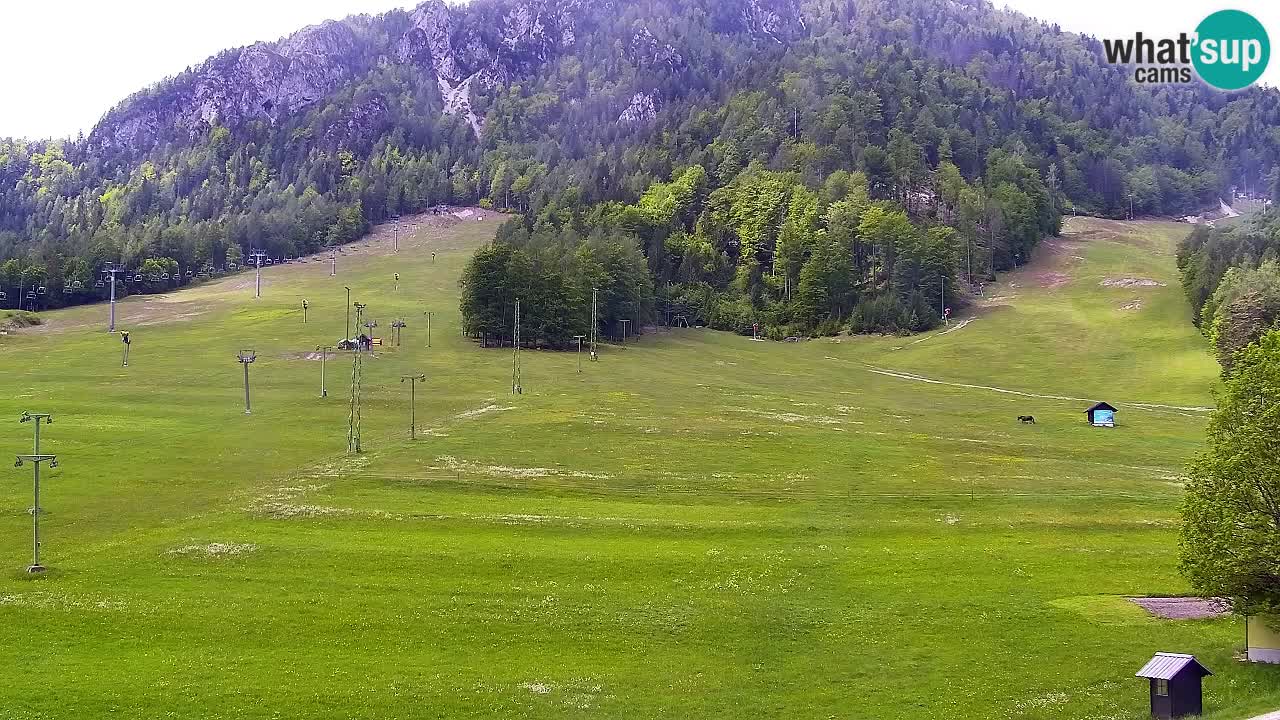 Webcam Ski resort Kranjska Gora – Slovenia