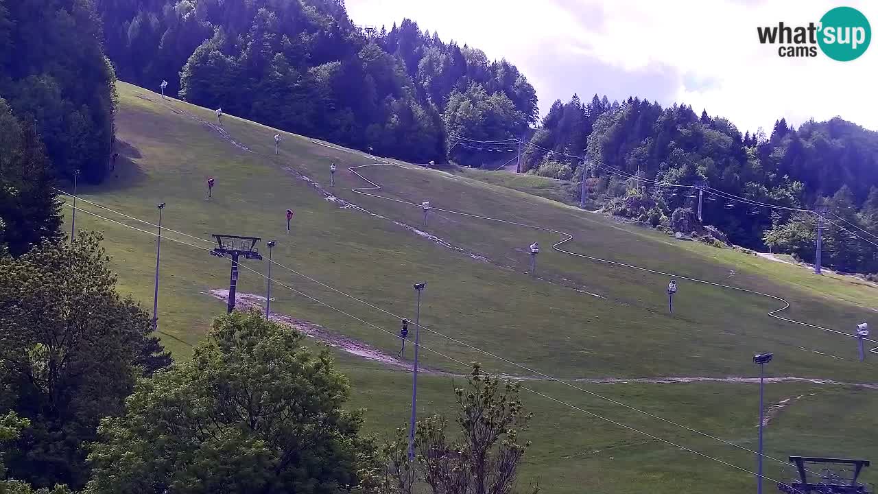Webcam Kranjska Gora SKI resort | Bech, Kekec, Mojca ski