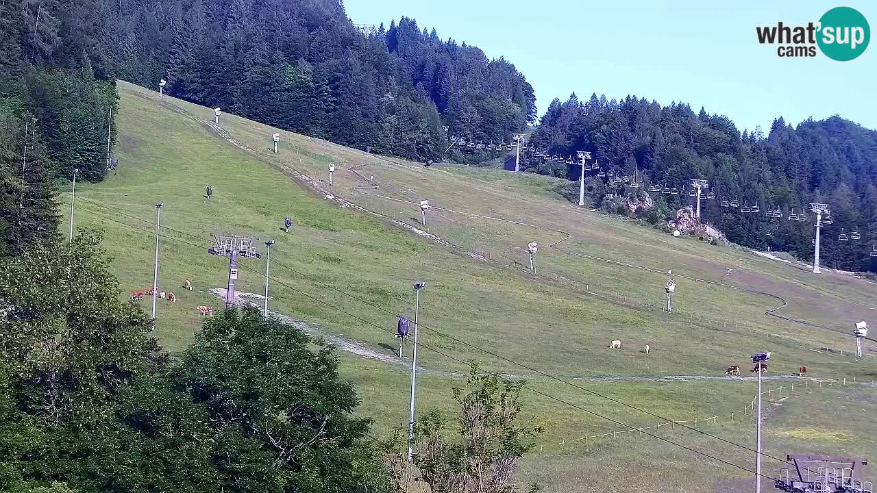 Web kamera Kranjska Gora Skijalište | Proge Mojca in Kekec