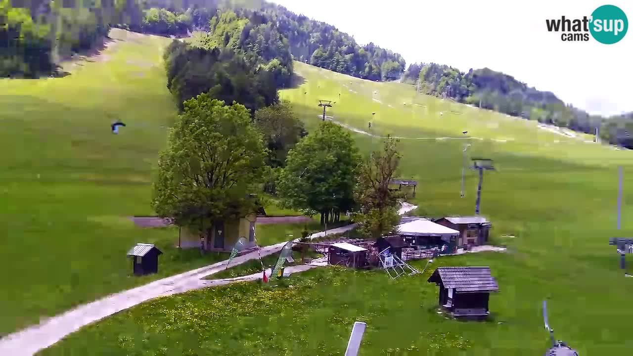 Webcam Station de ski Kranjska Gora – Slovénie
