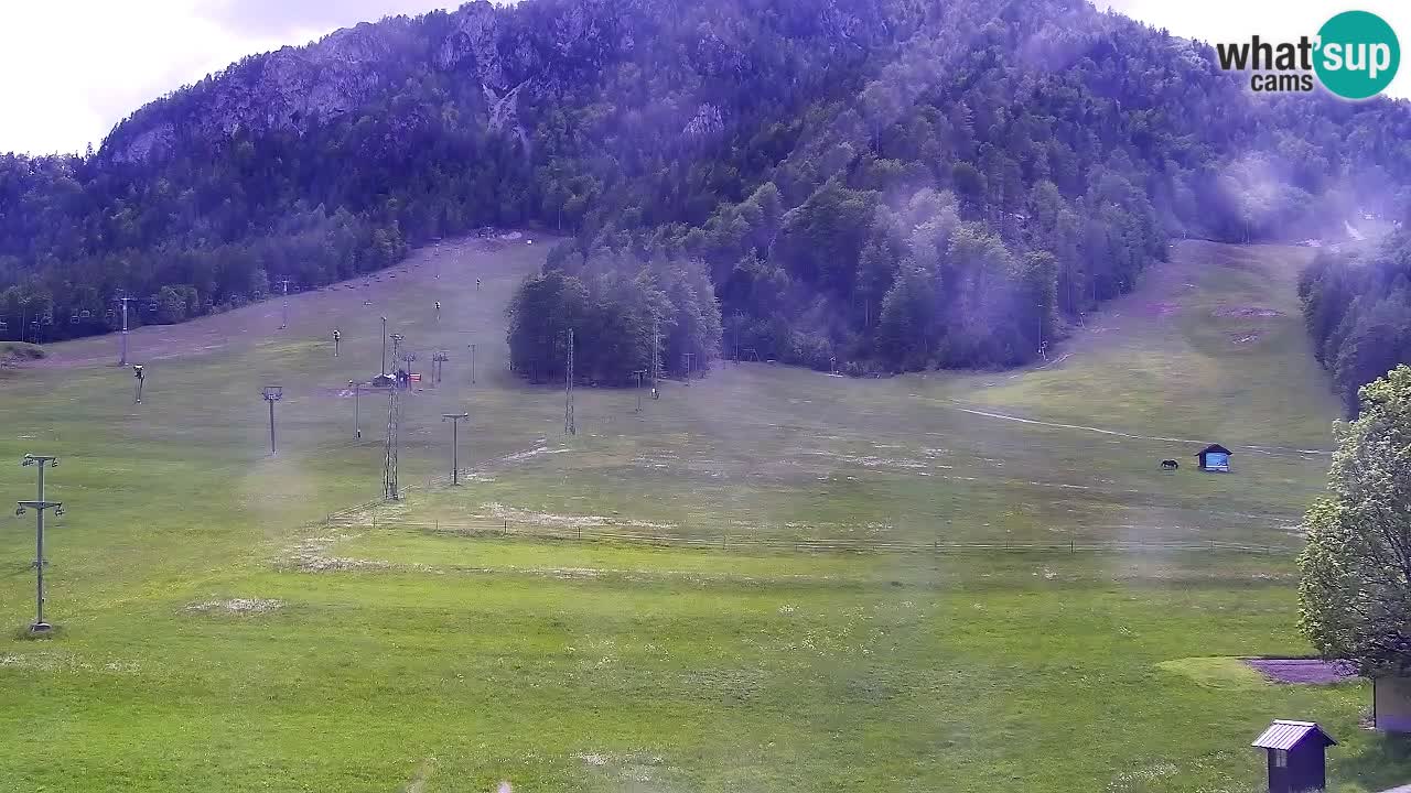 Webcam Kranjska Gora SKI resort | Bech, Kekec, Mojca ski