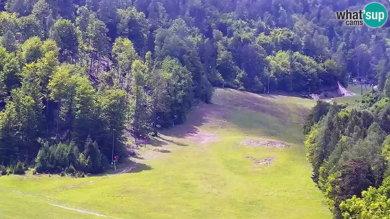 Webcam Kranjska Gora SKI resort | Bech, Kekec, Mojca ski