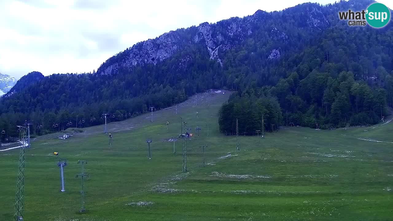 Web kamera Kranjska Gora Skijalište | Proge Mojca in Kekec