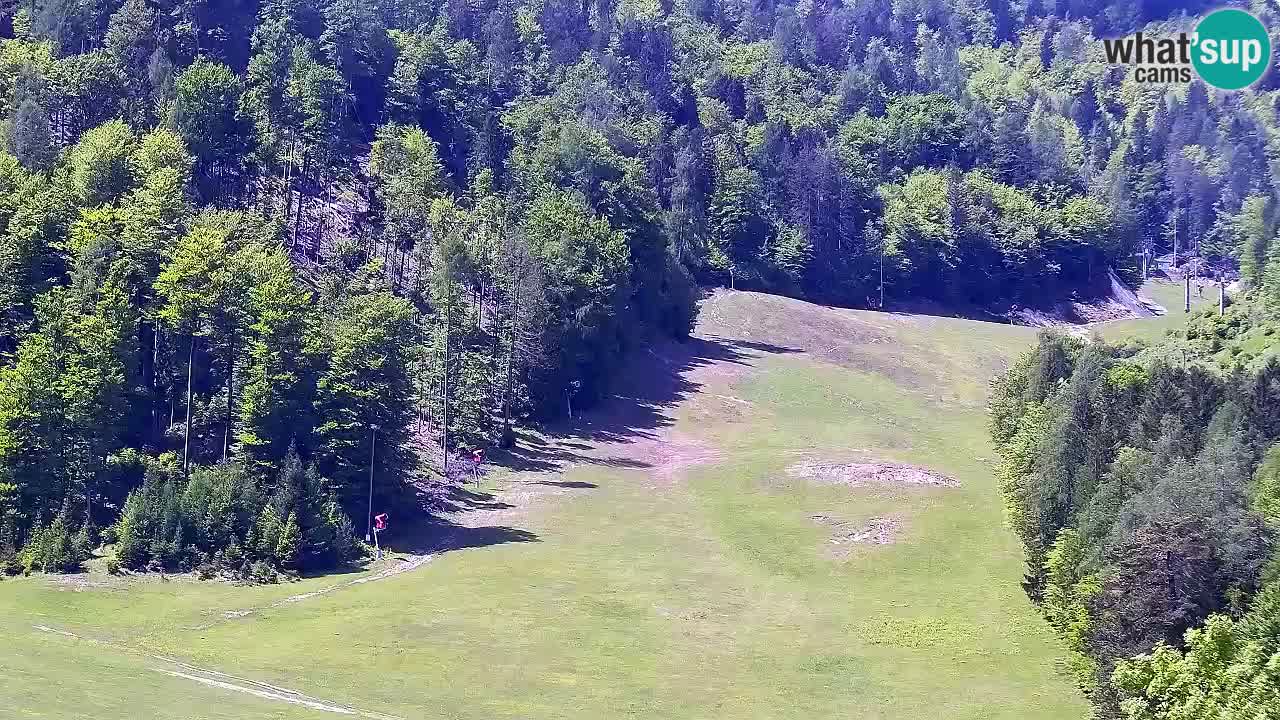 Web kamera Skijalište Kranjska Gora – Slovenija
