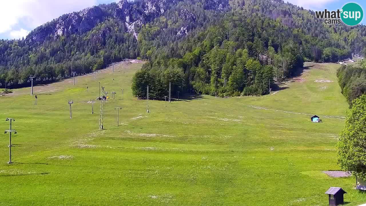 Webcam Ski resort Kranjska Gora – Slovenia