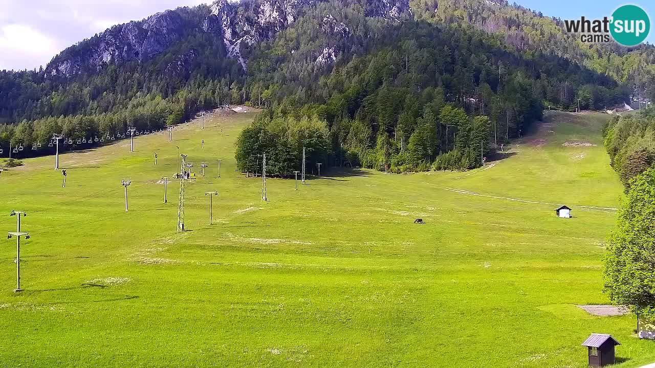 Webcam Estación de esquí Kranjska Gora – Eslovenia