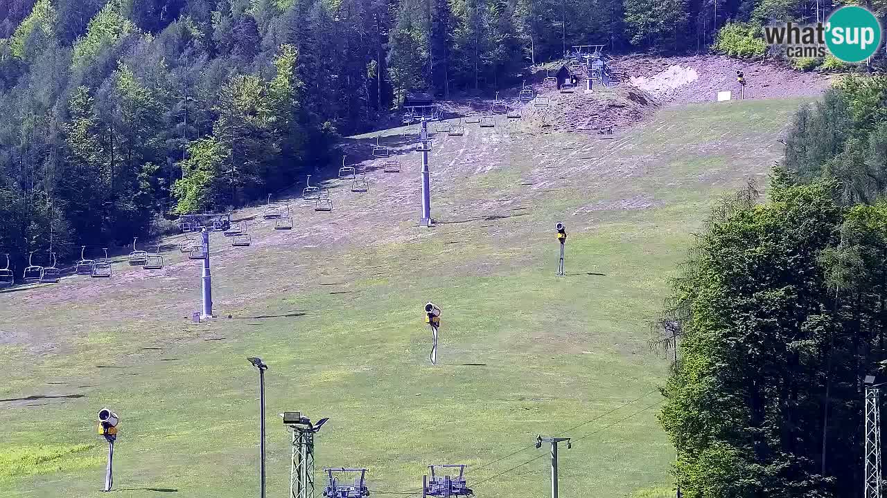 Spletna kamera Smučišče Kranjska Gora
