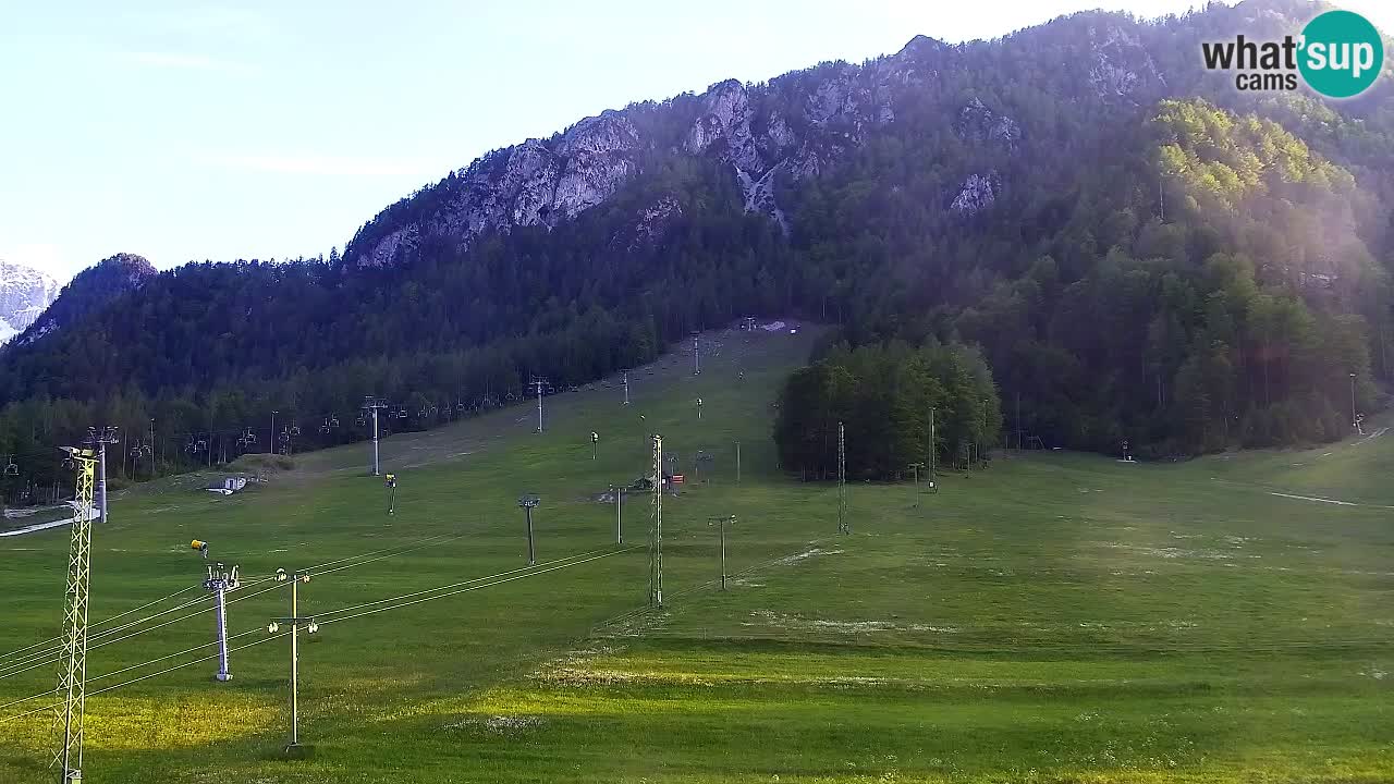 Webcam Kranjska Gora SKI resort | Bech, Kekec, Mojca ski