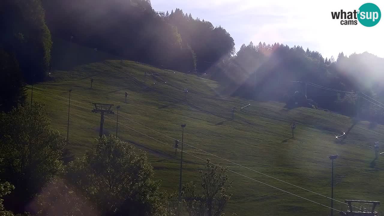 Webcam Kranjska Gora SKI – panoramica Piste centrali