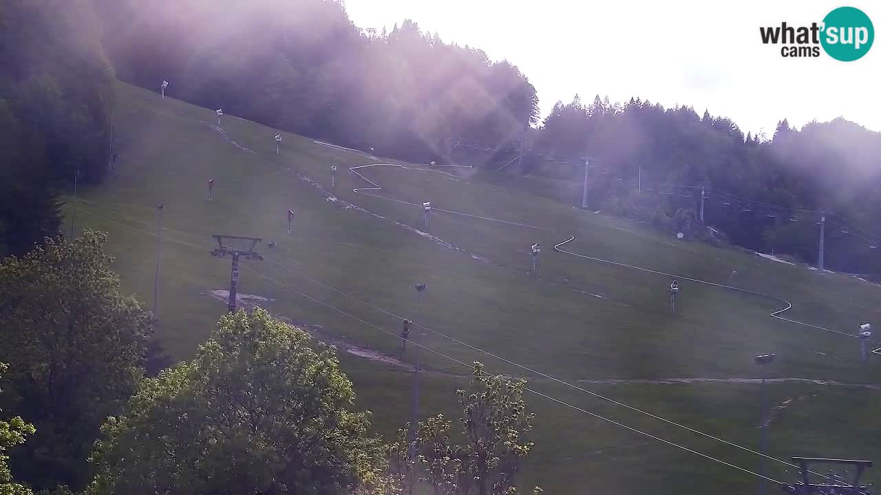 Web kamera Kranjska Gora Skijalište | Proge Mojca in Kekec