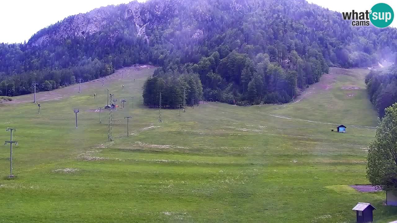 Webcam Estación de esquí Kranjska Gora – Eslovenia