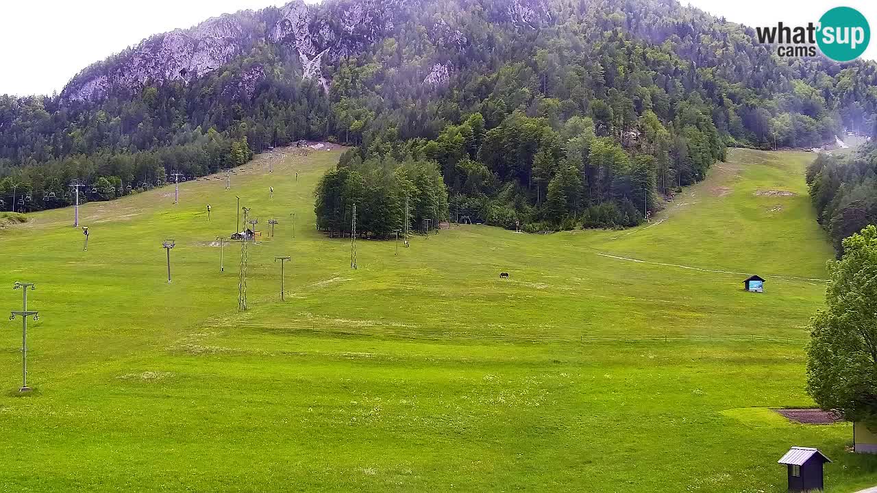 Spletna kamera Smučišče Kranjska Gora