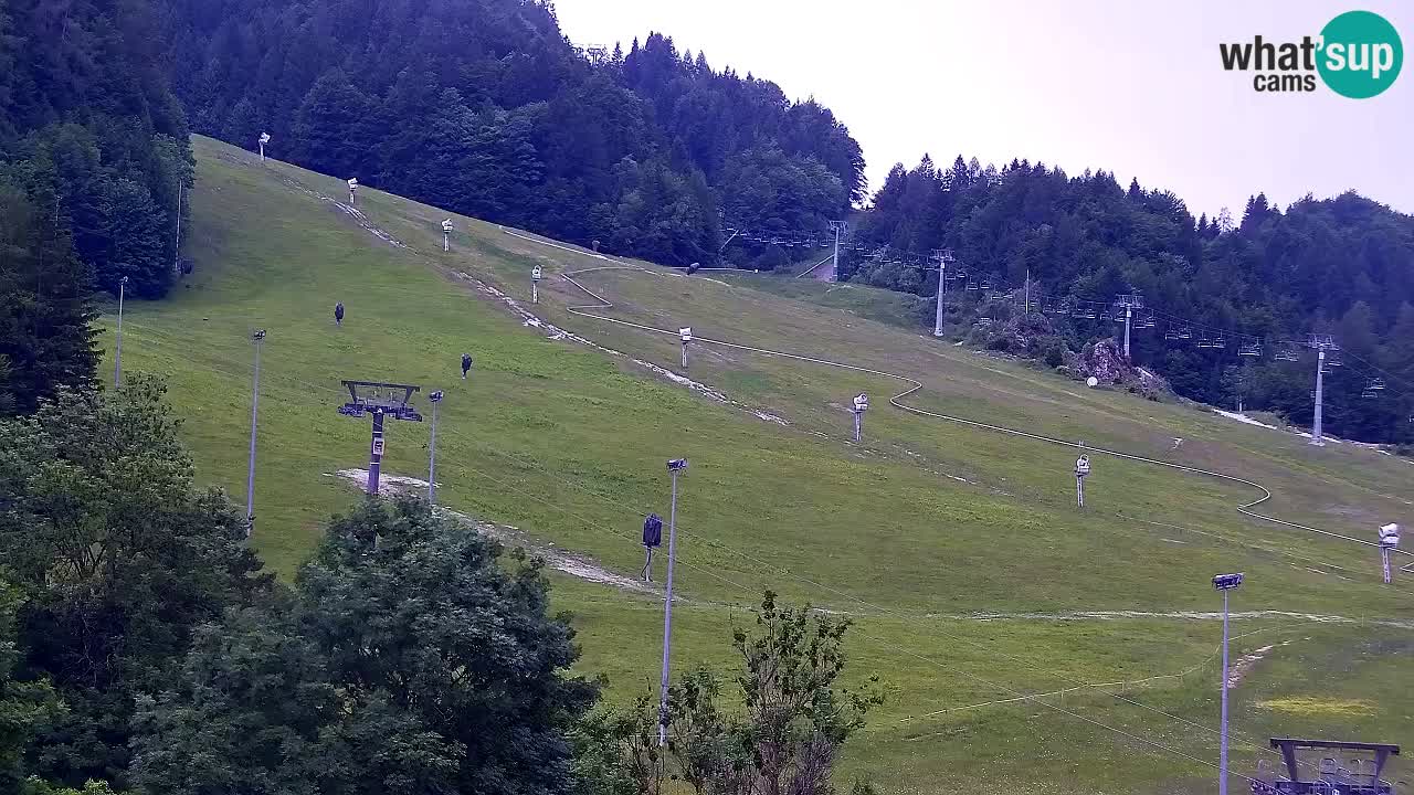 Webcam Kranjska Gora SKI resort | Bech, Kekec, Mojca ski