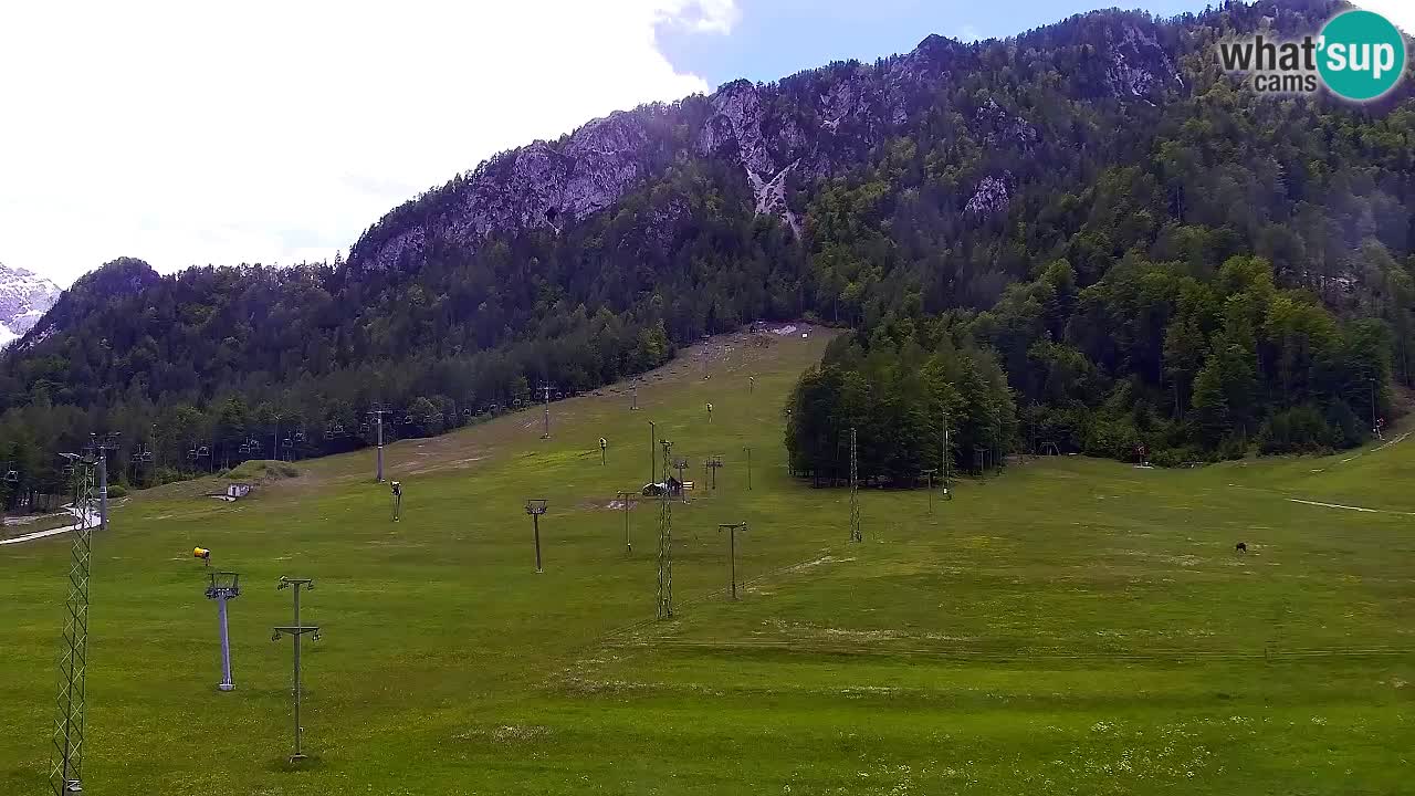 Webcam Ski resort Kranjska Gora – Slovenia