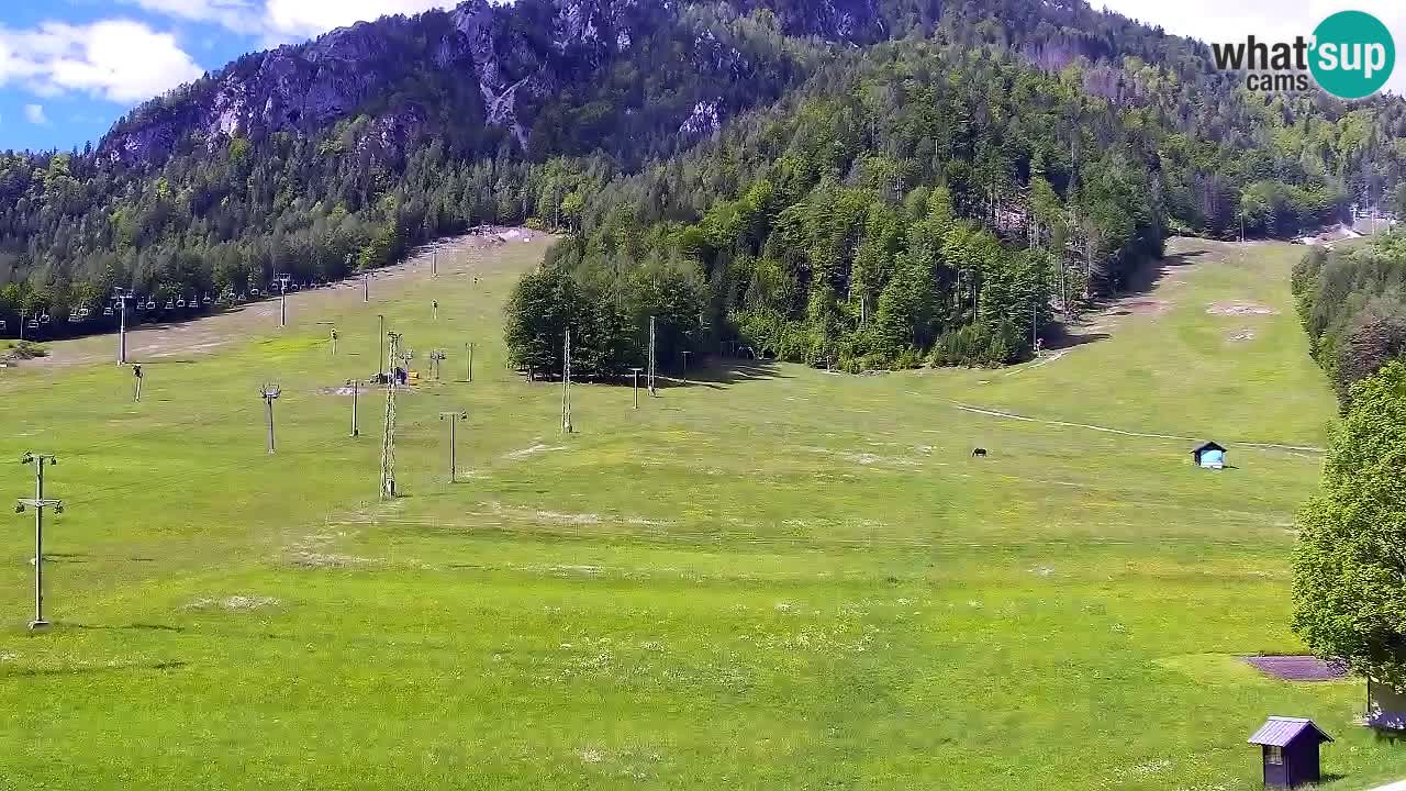 Spletna kamera Smučišče Kranjska Gora