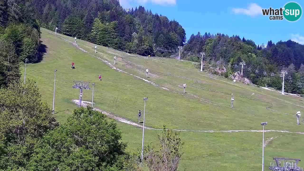 Webcam Ski resort Kranjska Gora – Slovenia