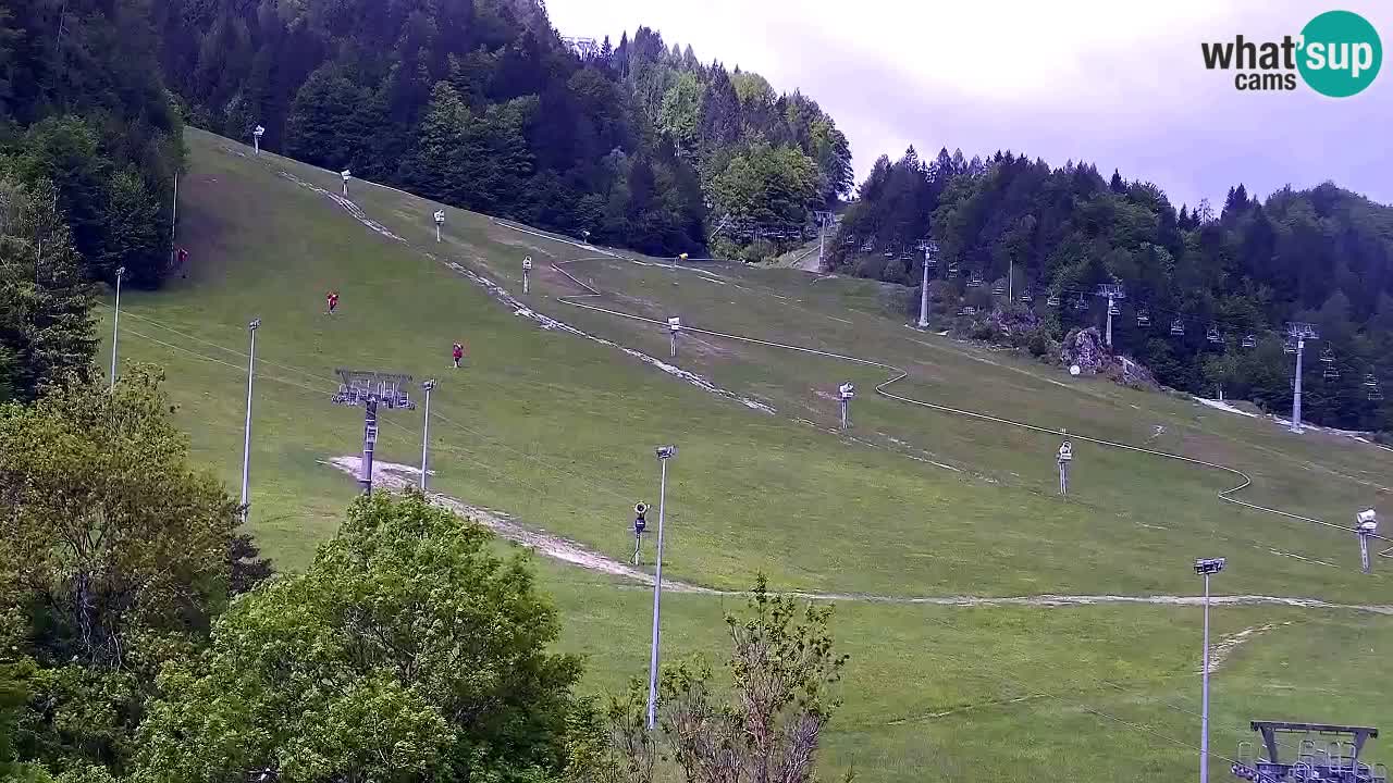 Web kamera Skijalište Kranjska Gora – Slovenija