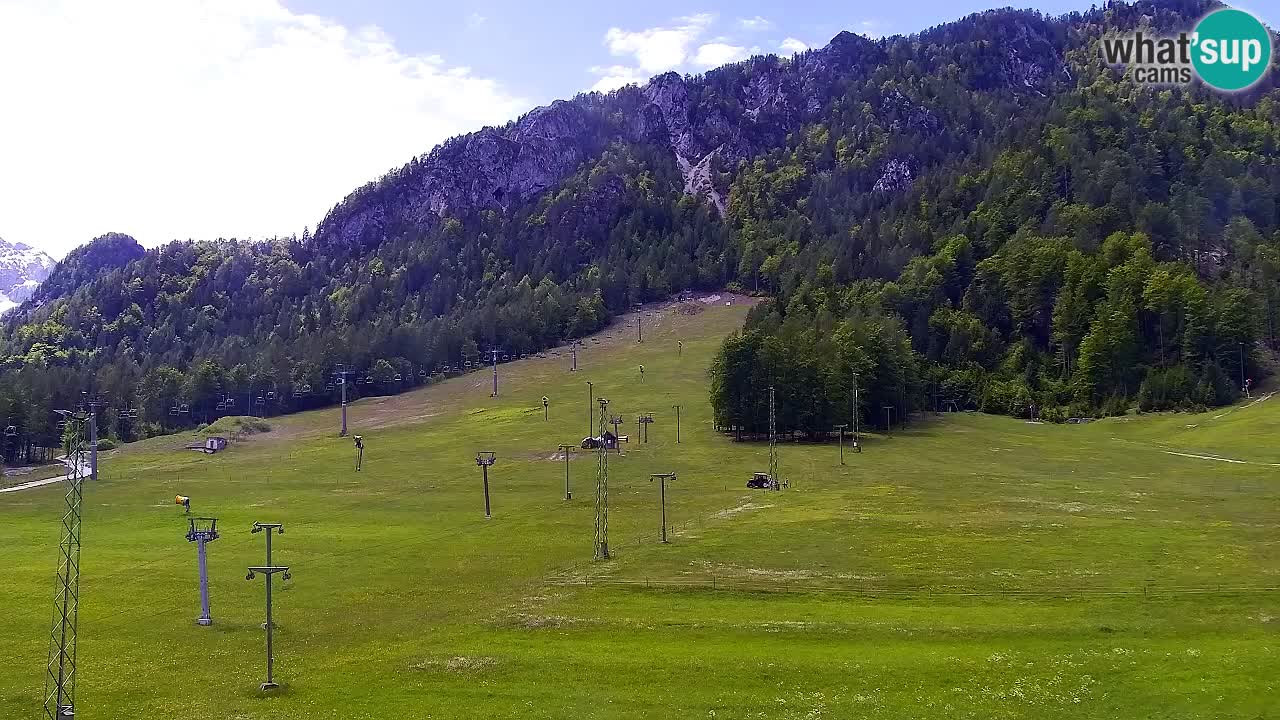 Spletna kamera Smučišče Kranjska Gora