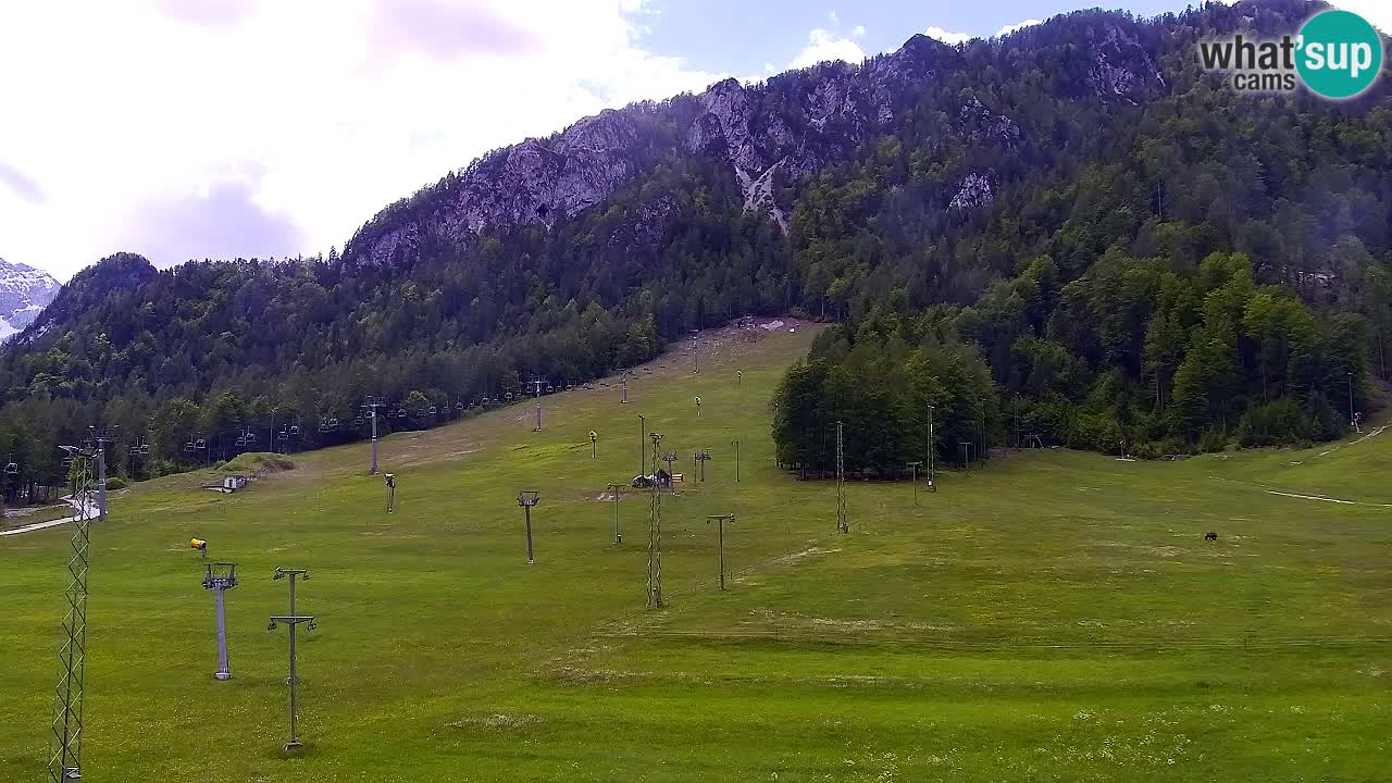 Web kamera Skijalište Kranjska Gora – Slovenija
