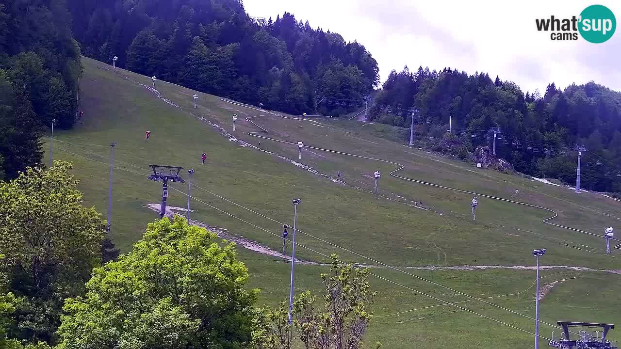 Web kamera Skijalište Kranjska Gora – Slovenija