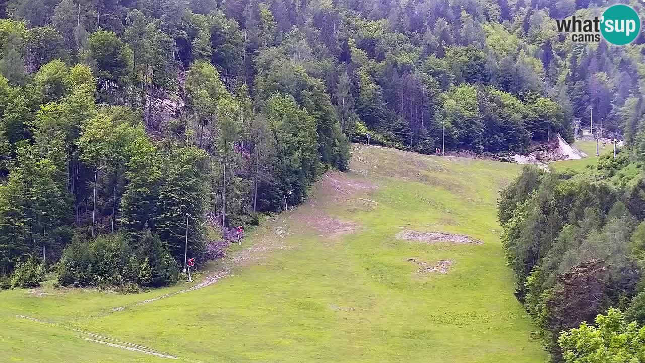 Spletna kamera Smučišče Kranjska Gora