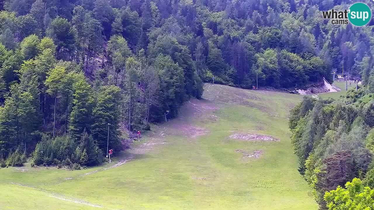 Web kamera Skijalište Kranjska Gora – Slovenija