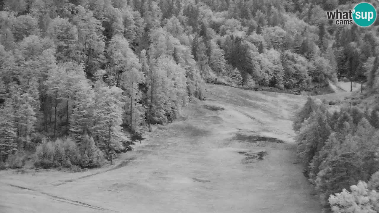 Webcam Estación de esquí Kranjska Gora – Eslovenia