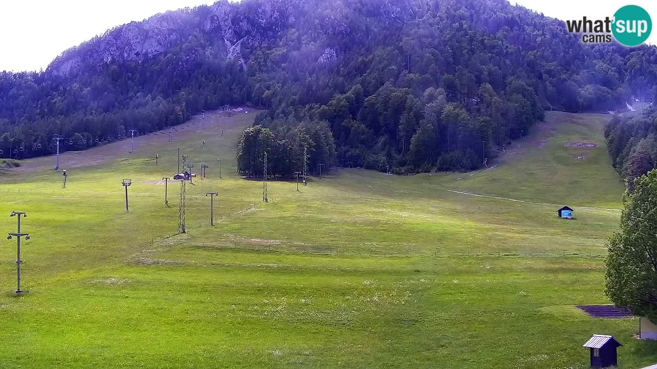 Webcam Ski resort Kranjska Gora – Slovenia