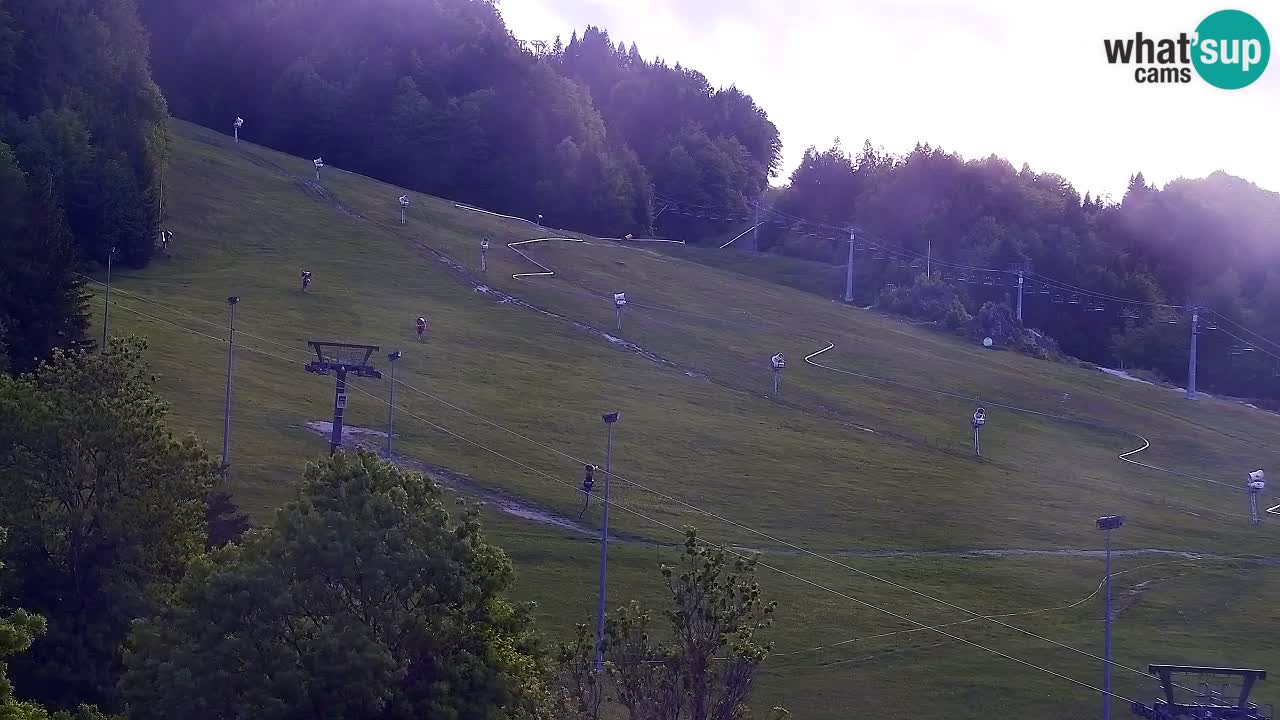 Webcam Ski resort Kranjska Gora – Slovenia