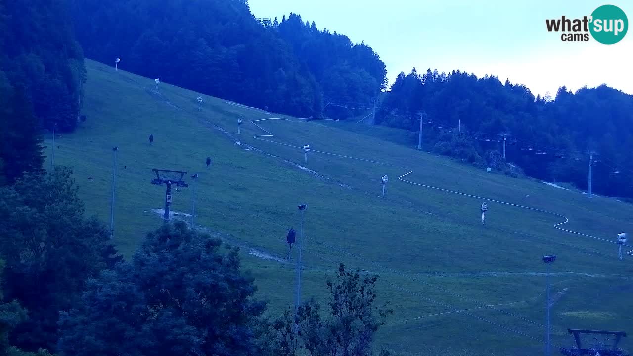 Webcam Kranjska Gora SKI resort | Bech, Kekec, Mojca ski