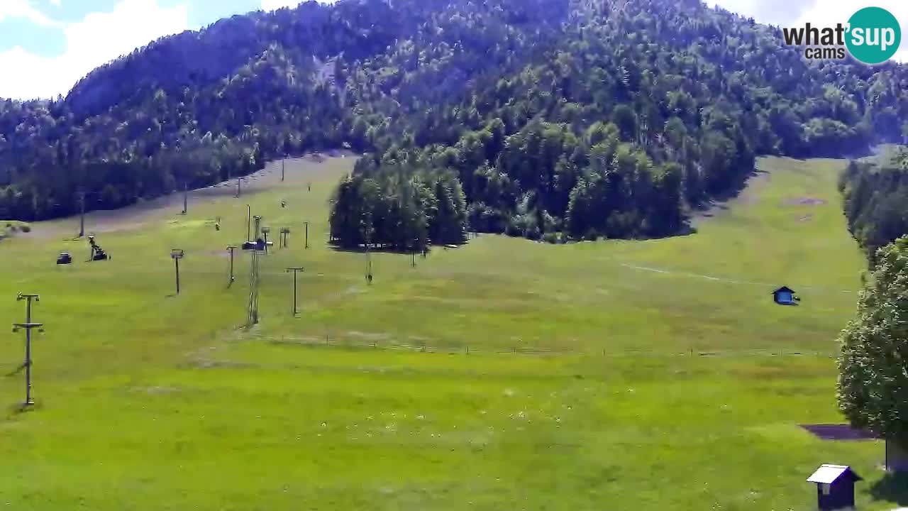Webcam Skigebiet Kranjska Gora – Slowenien
