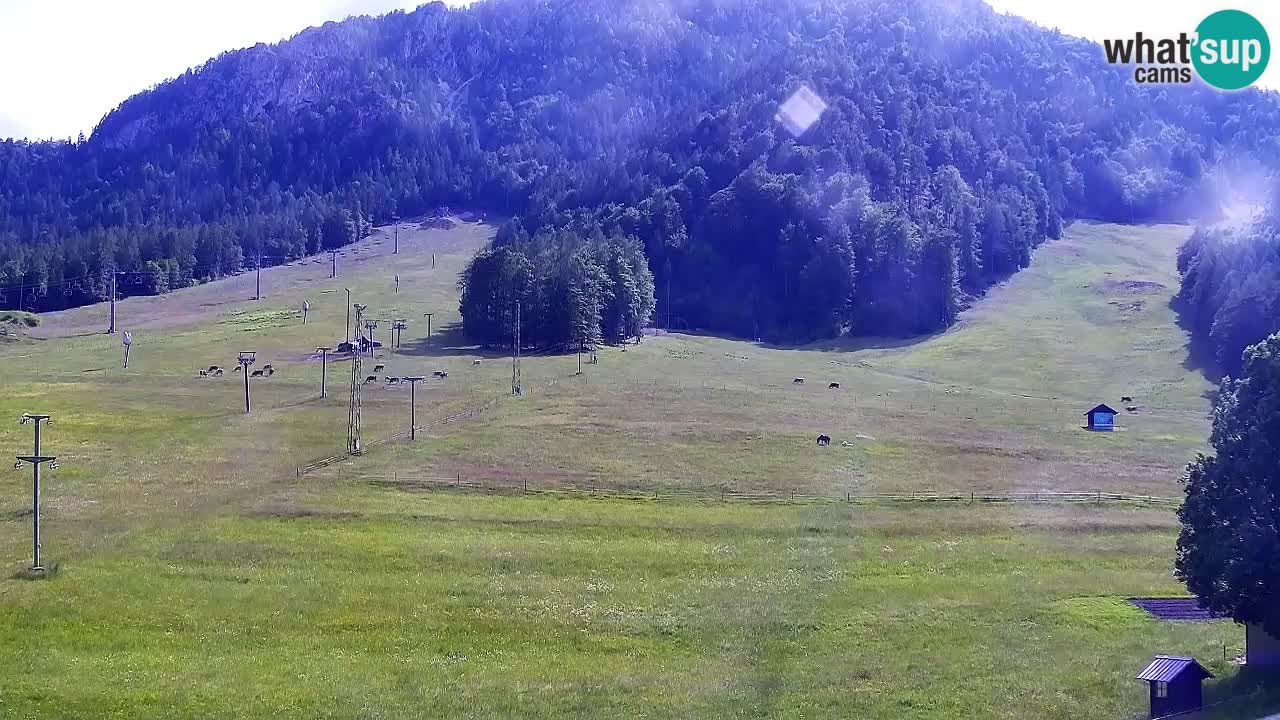 Webcam Kranjska Gora SKI resort | Bech, Kekec, Mojca ski