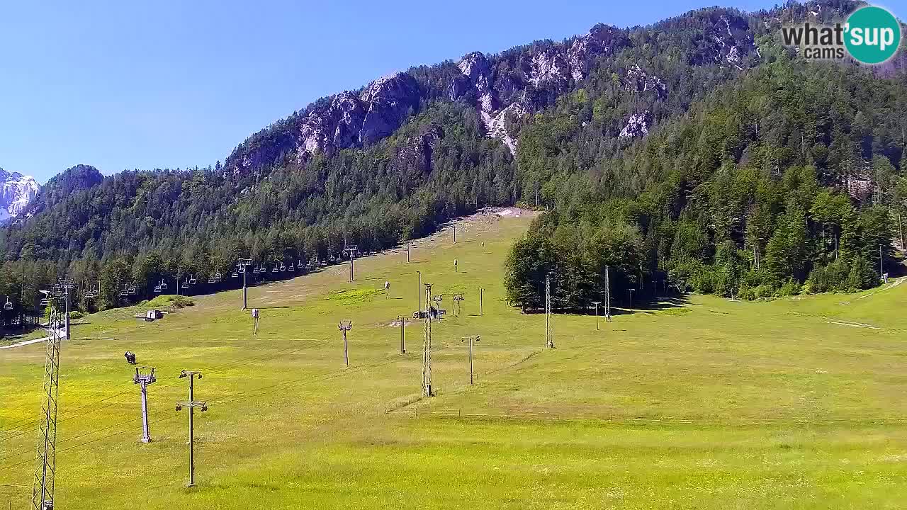 Webcam Kranjska Gora SKI – panoramica Piste centrali
