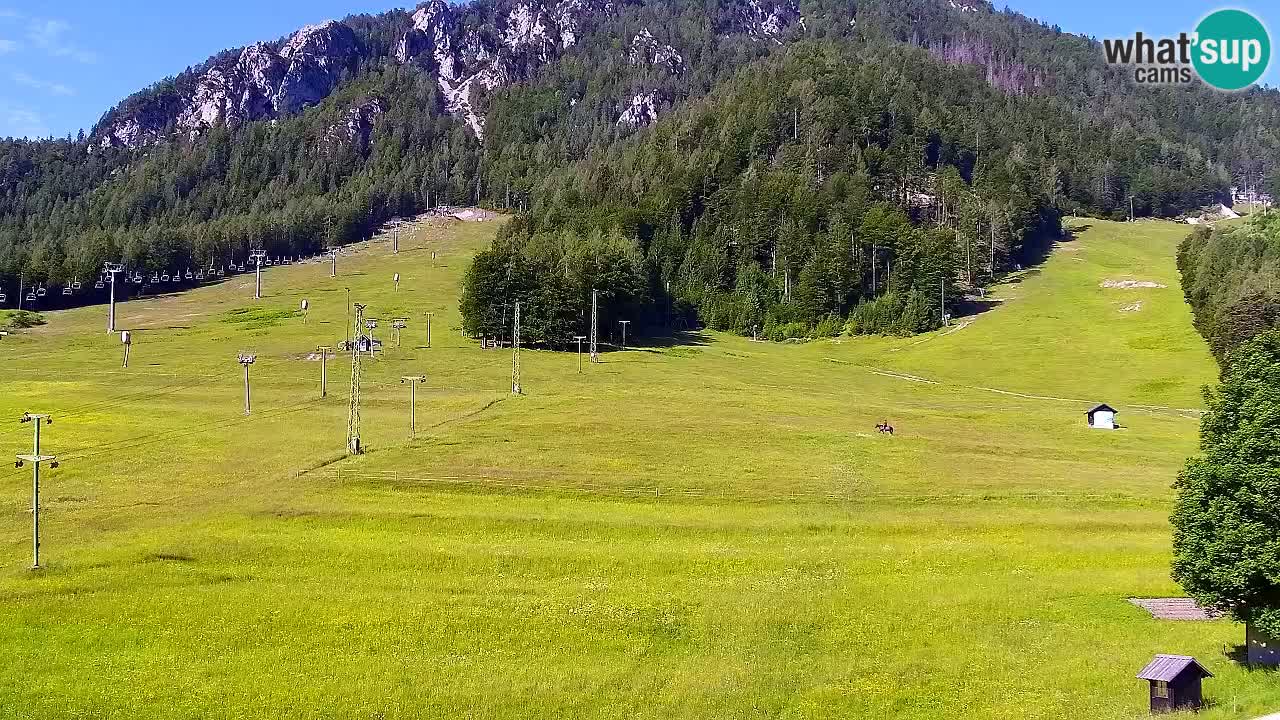 Webcam Skigebiet Kranjska Gora – Slowenien