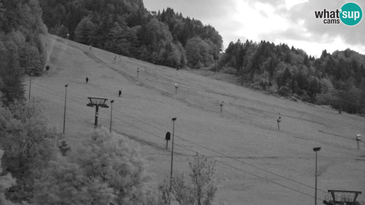 Webcam Kranjska Gora SKI resort | Bech, Kekec, Mojca ski