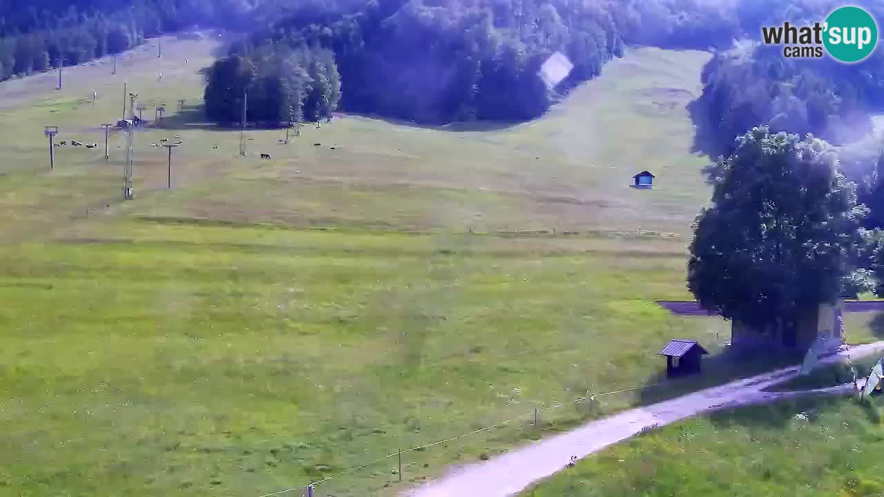 Webcam Estación de esquí Kranjska Gora – Eslovenia