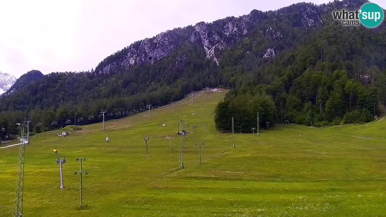 Webcam Kranjska Gora SKI – panoramica Piste centrali