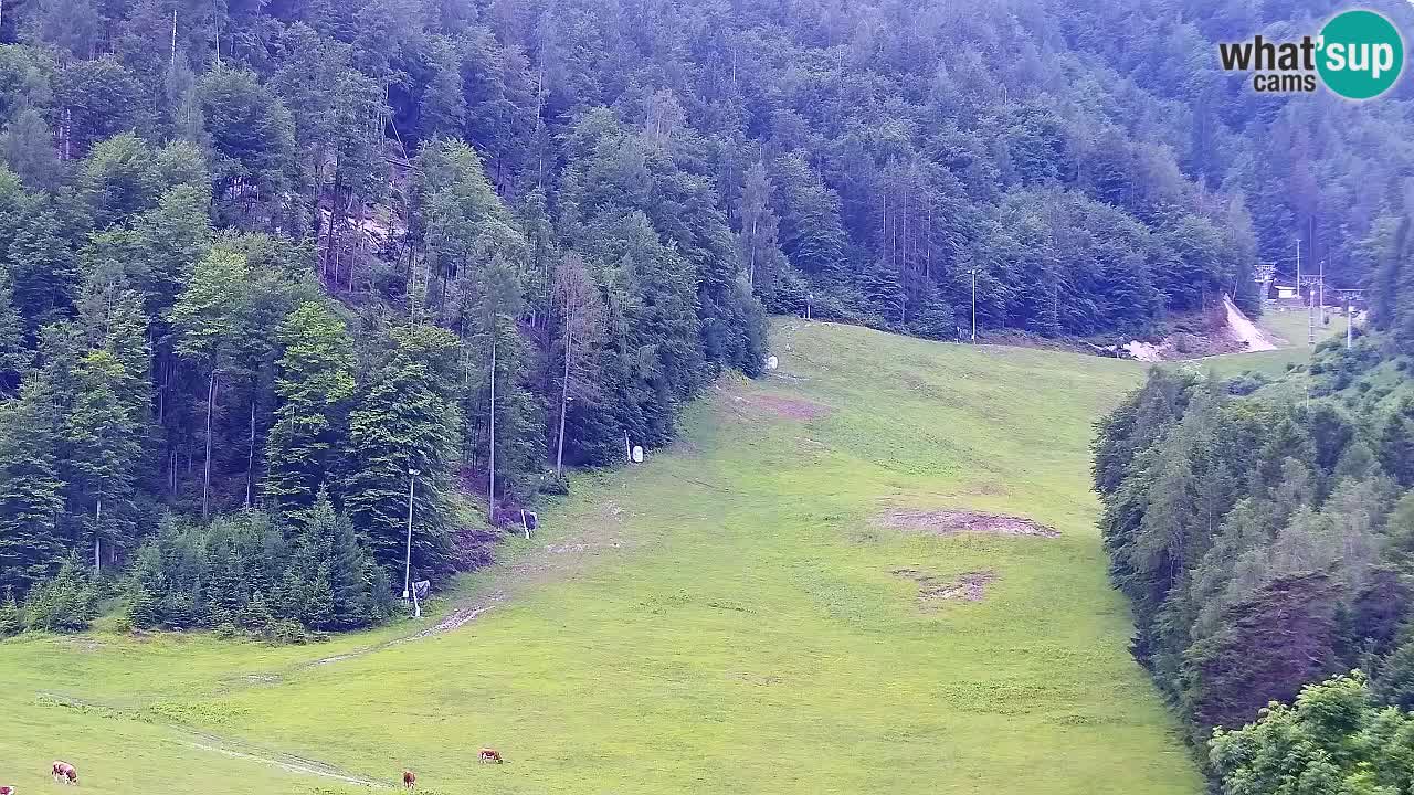 Webcam Kranjska Gora SKI – panoramica Piste centrali