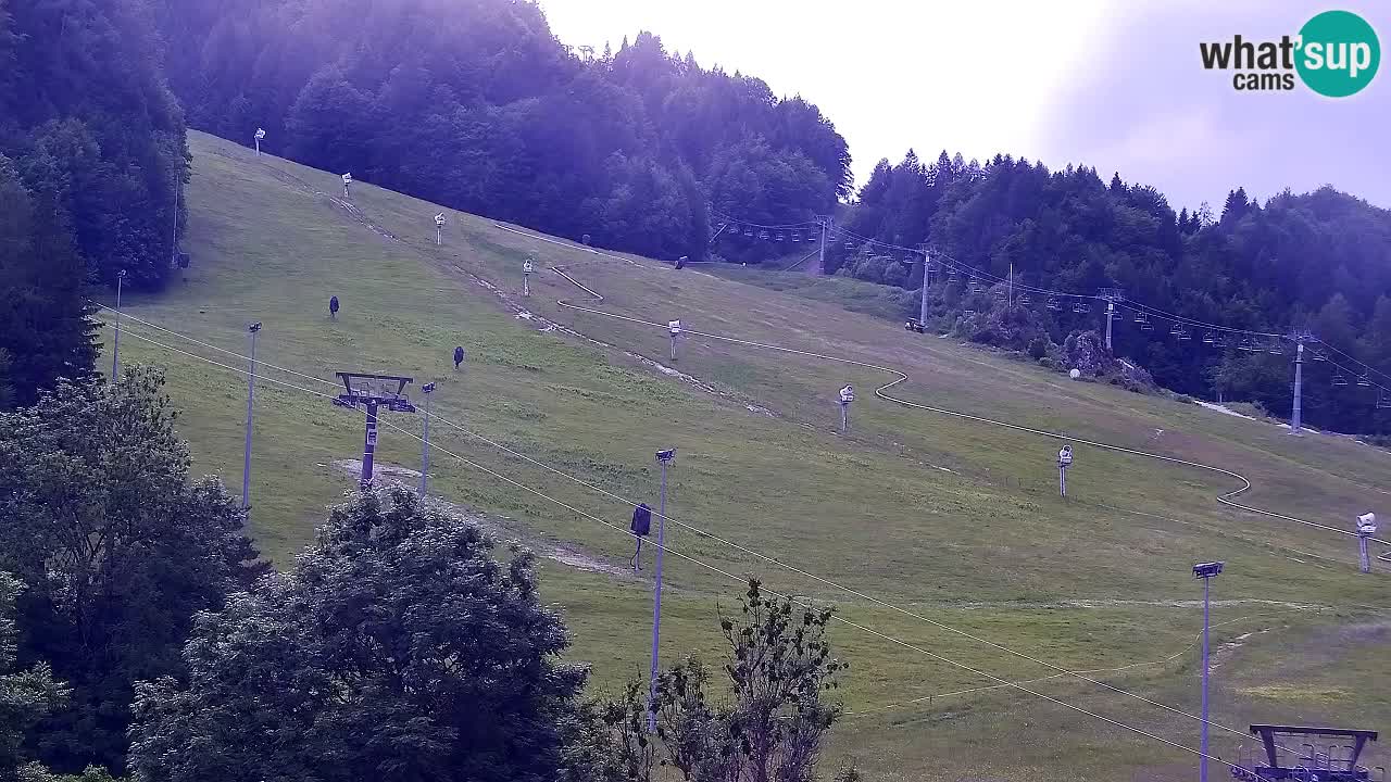 Webcam Kranjska Gora SKI – panoramica Piste centrali