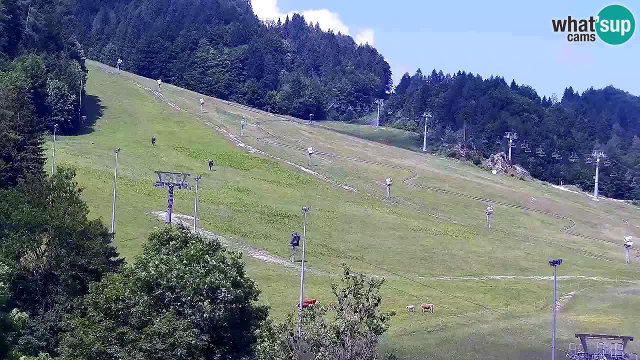 Webcam Kranjska Gora SKI resort | Bech, Kekec, Mojca ski