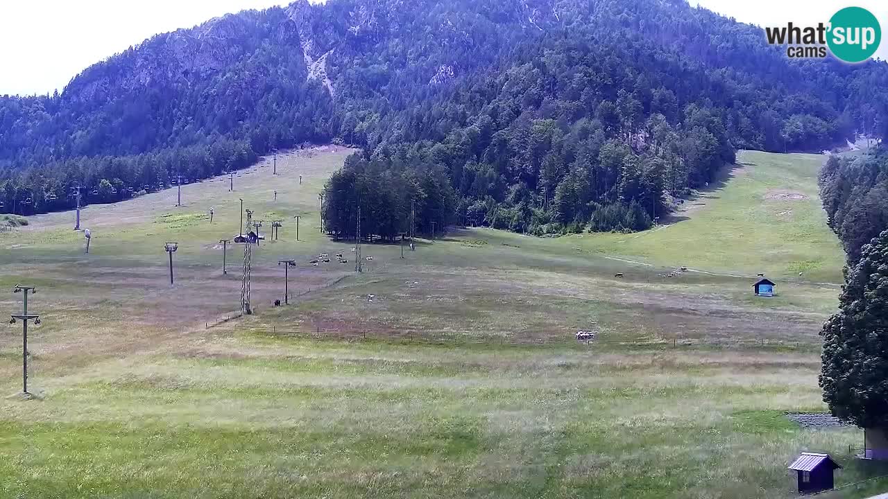 Web kamera Kranjska Gora Skijalište | Proge Mojca in Kekec