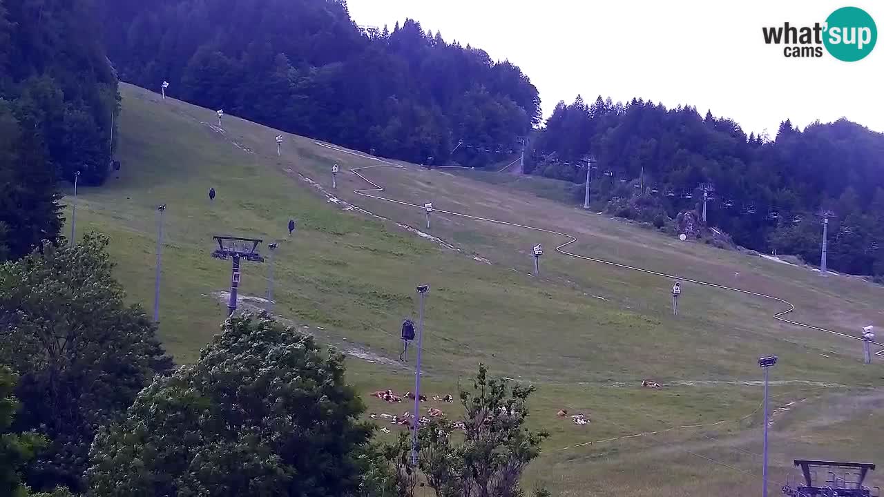 Webcam Skigebiet Kranjska Gora – Slowenien