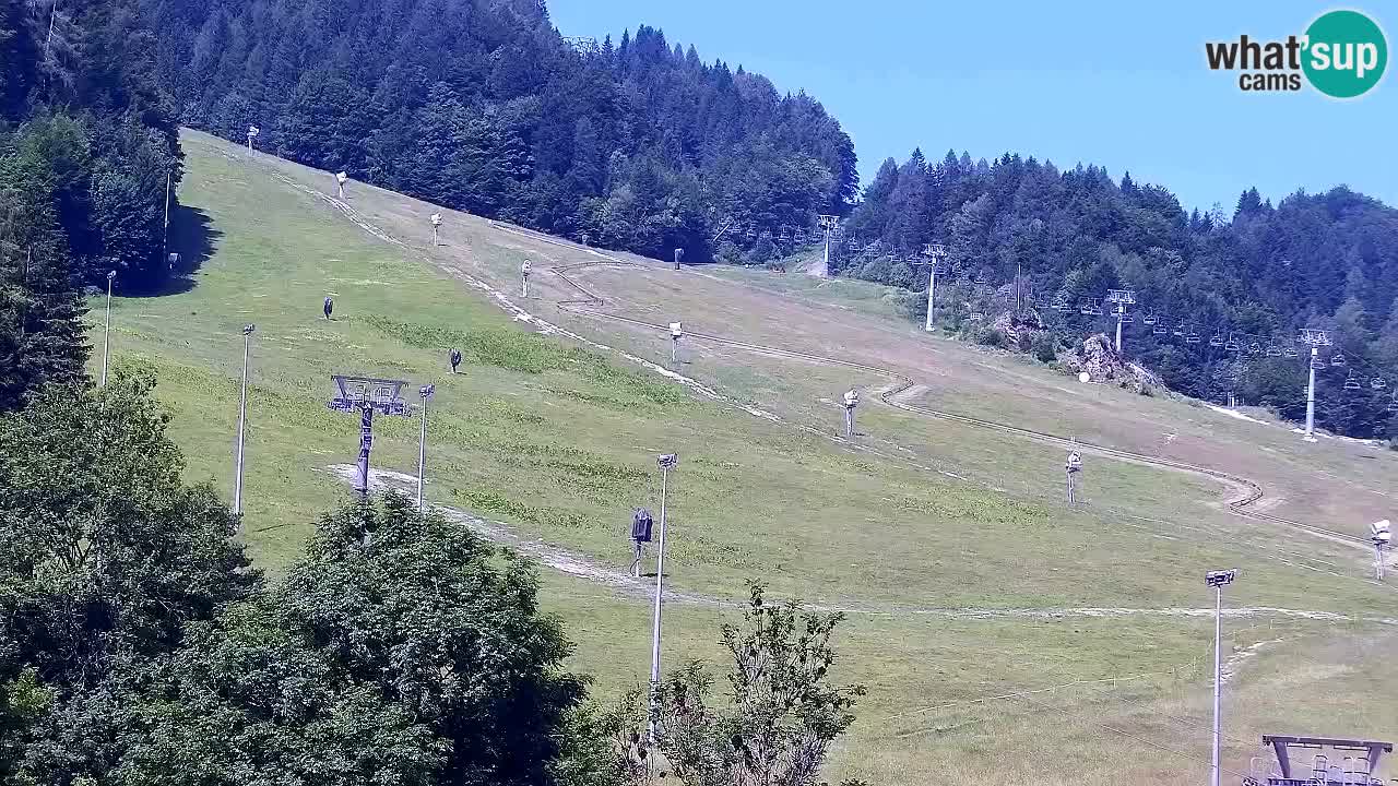 Webcam Kranjska Gora SKI – panoramica Piste centrali