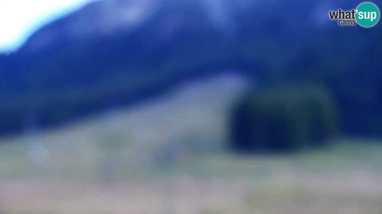 Webcam Skigebiet Kranjska Gora – Slowenien