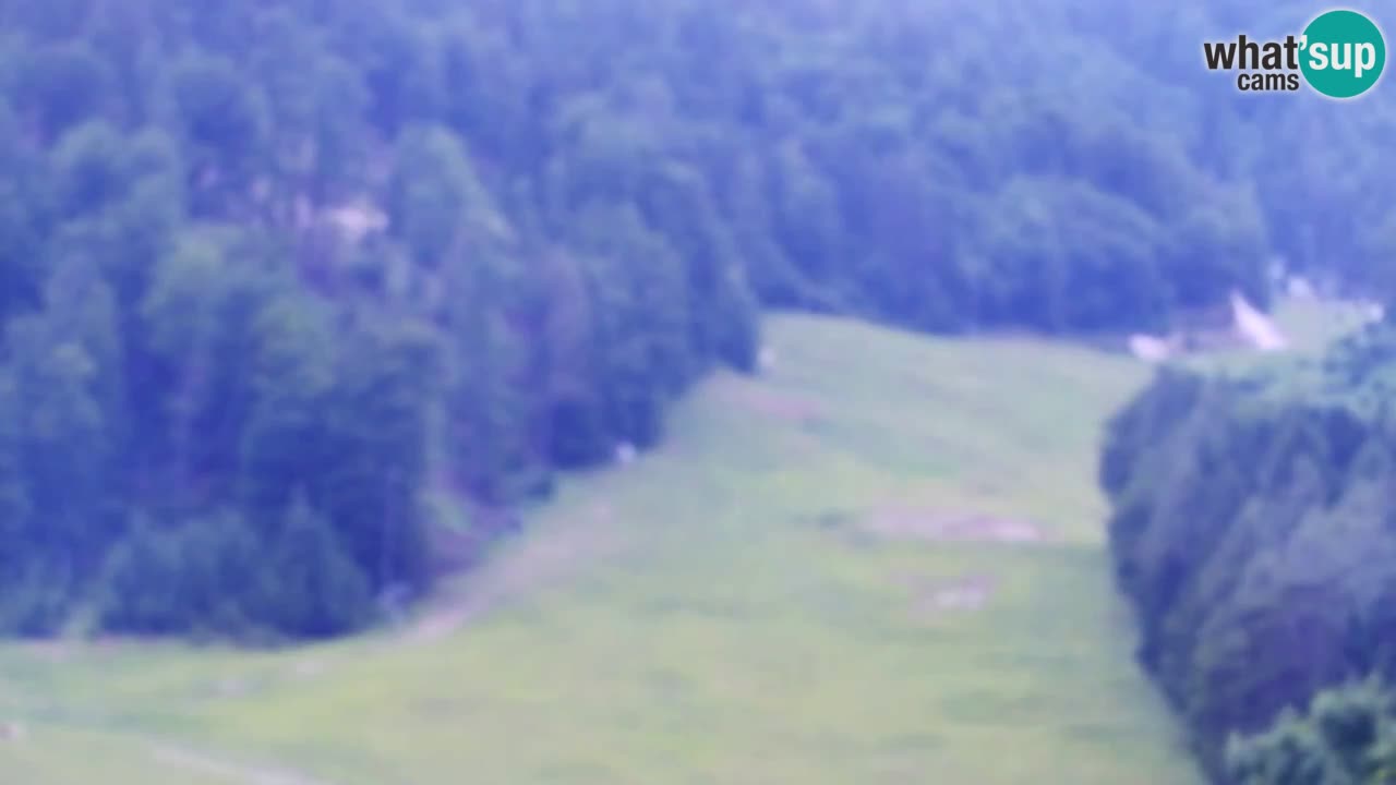 Webcam Kranjska Gora SKI resort | Bech, Kekec, Mojca ski