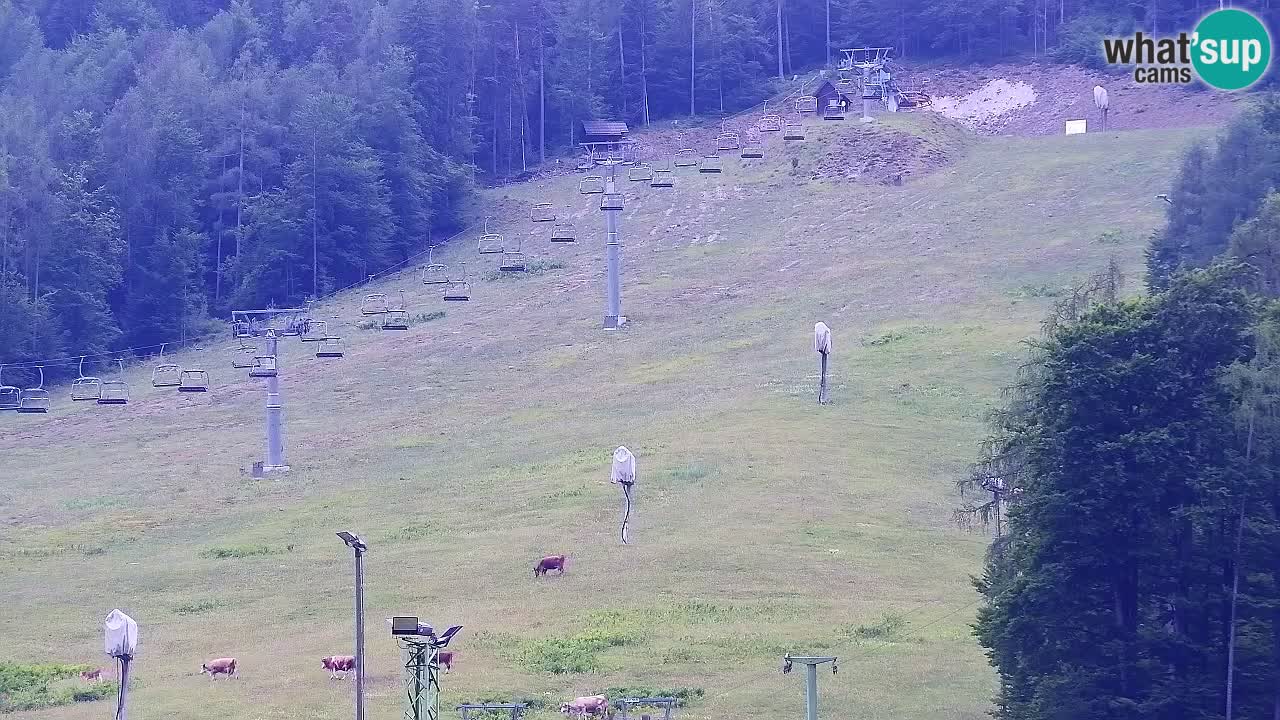 Webcam Kranjska Gora SKI resort | Bech, Kekec, Mojca ski