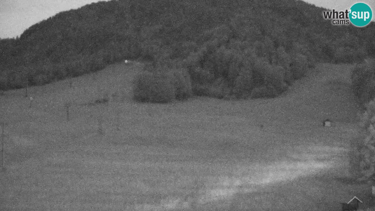Webcam Station de ski Kranjska Gora – Slovénie