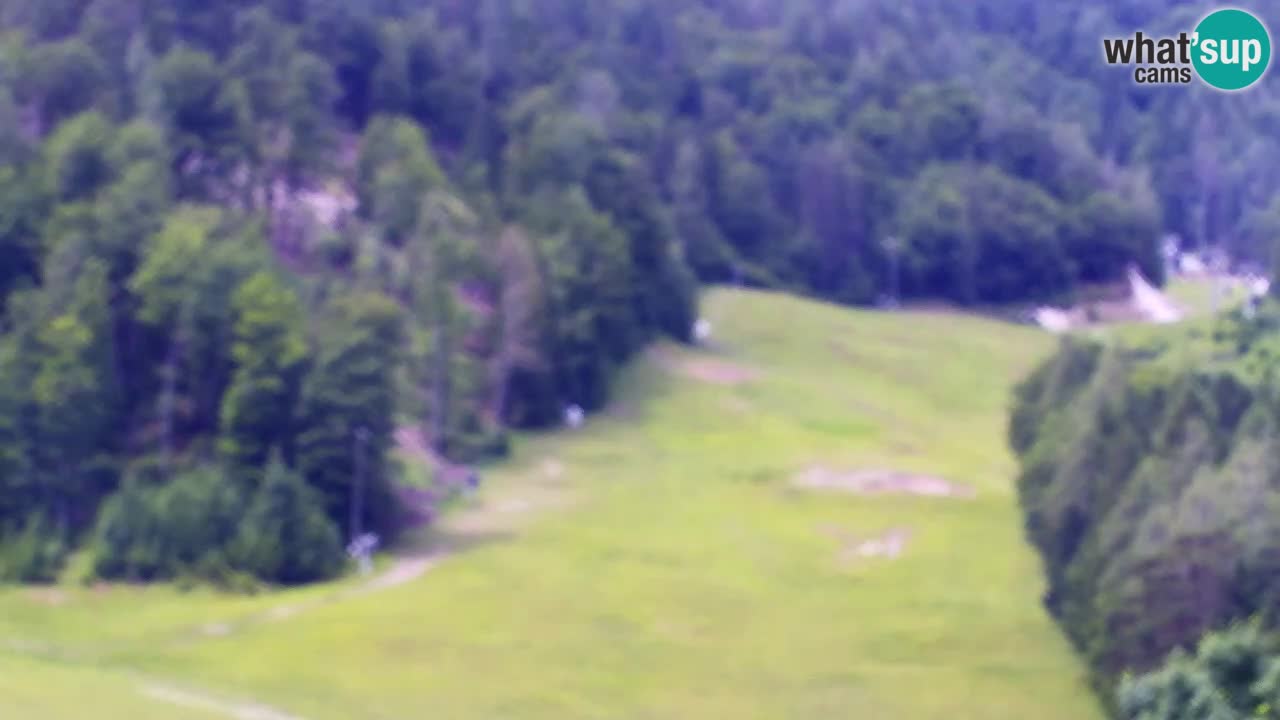 Webcam Skigebiet Kranjska Gora – Slowenien