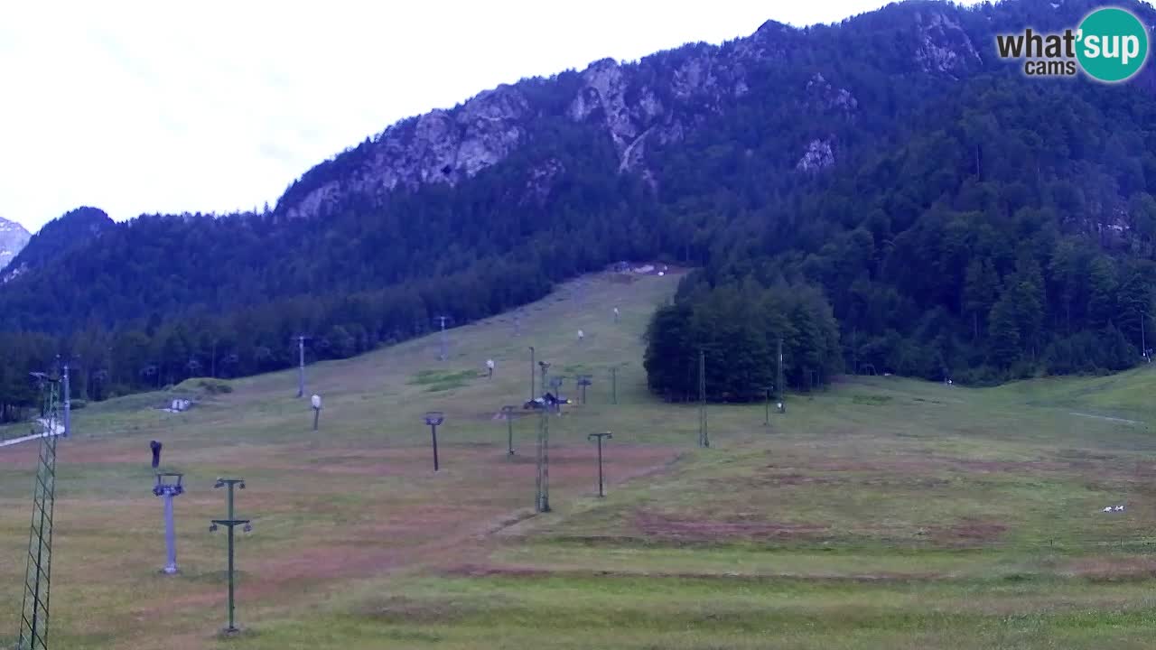 Webcam Kranjska Gora SKI – panoramica Piste centrali
